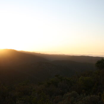 Jugend- & Blasorchester Leipzig e.V.