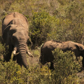 Jugend- & Blasorchester Leipzig e.V.